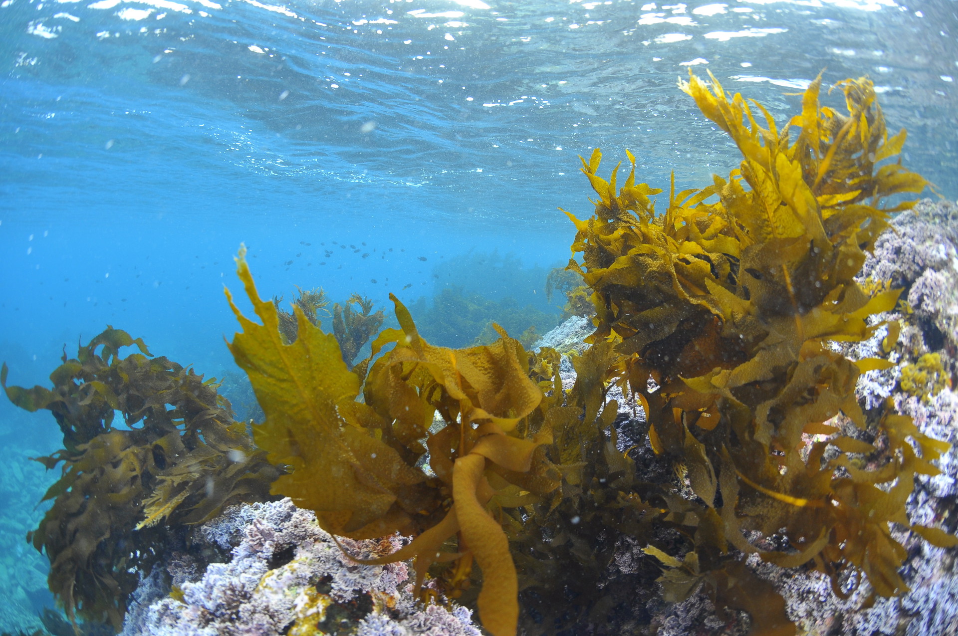 Adobestock 196340870