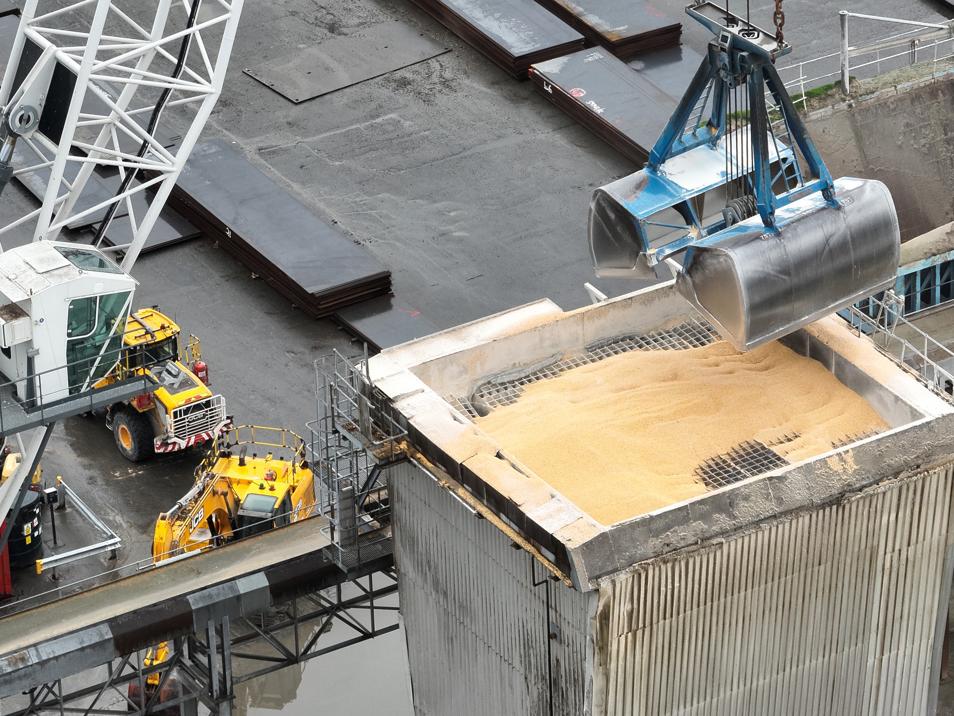 Background image - DJI 20260121115513 0017 V