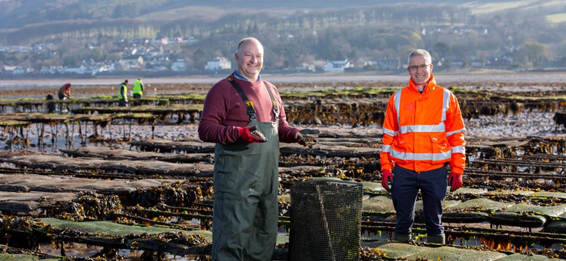 Background image - Pp37