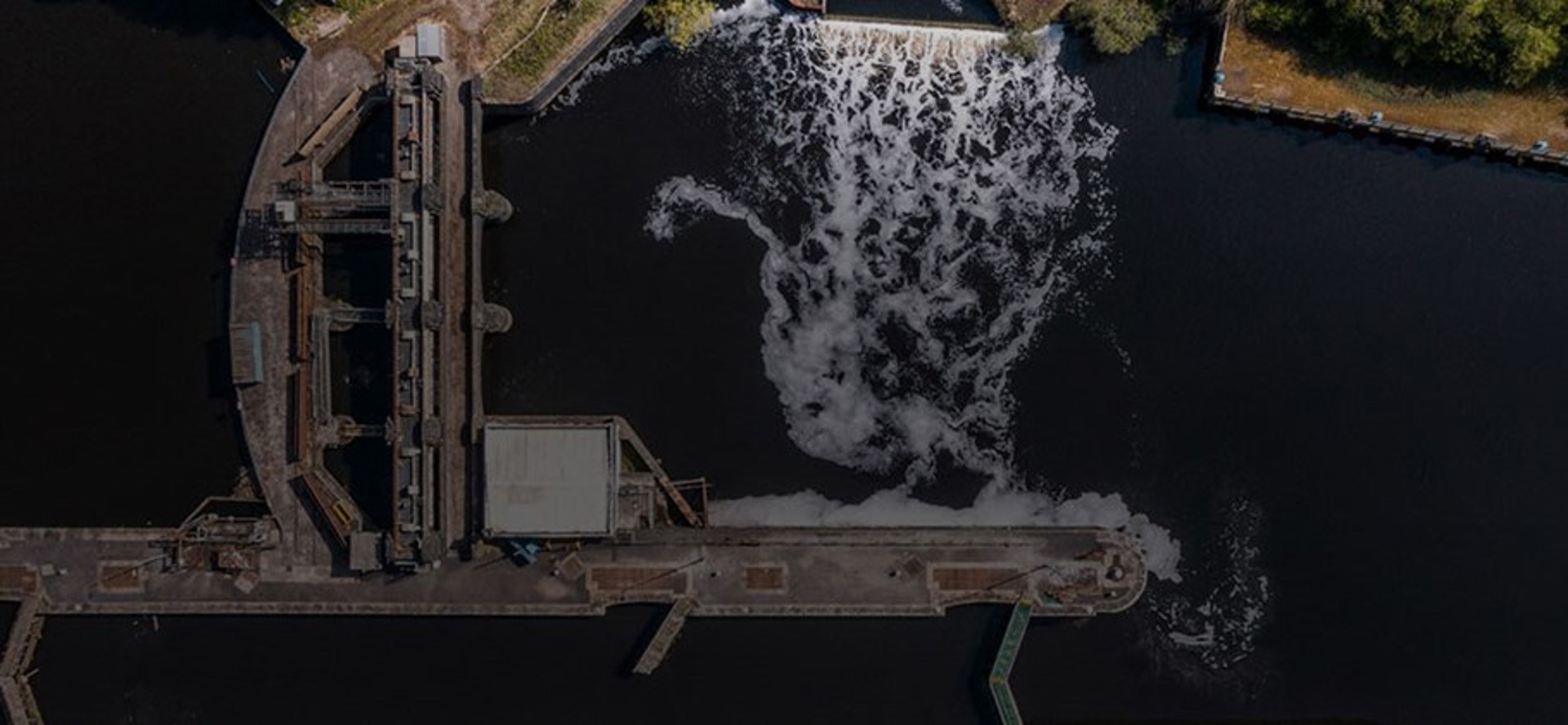 Background image - Pp25