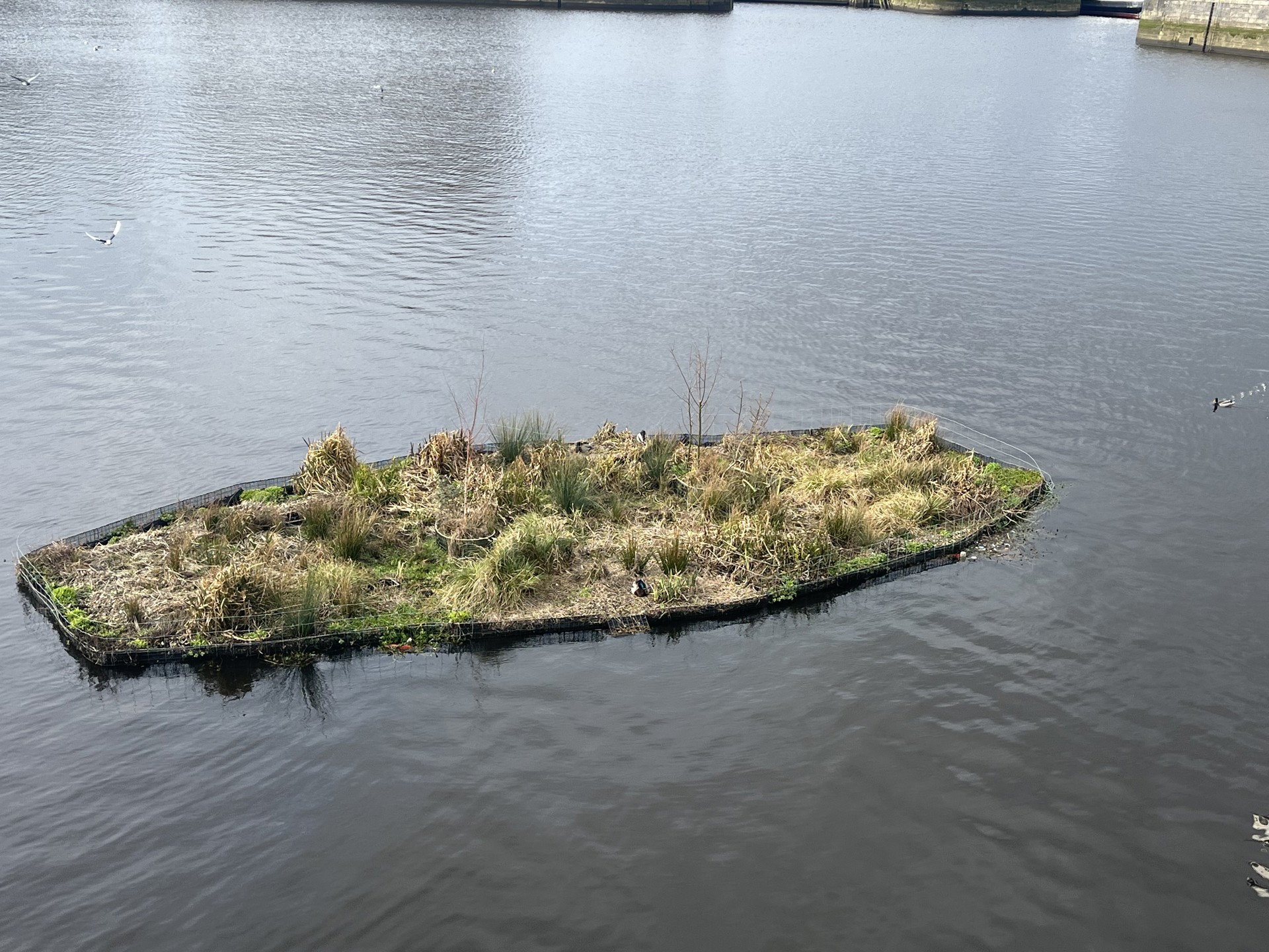 Background image - Marine 2