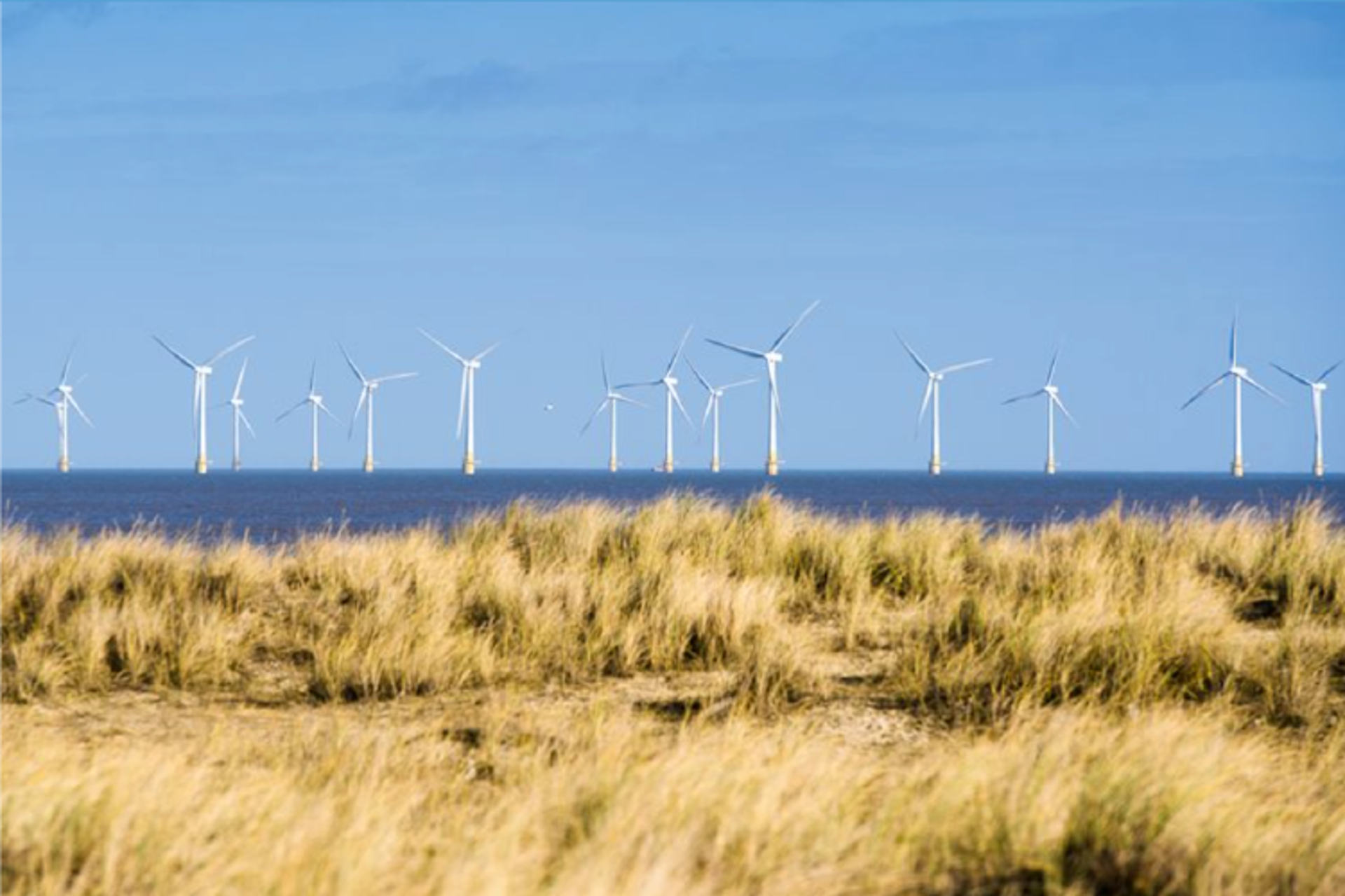 Background image - Secondpage Img03